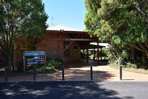 Dorrigo National Park - Roaming The Outback