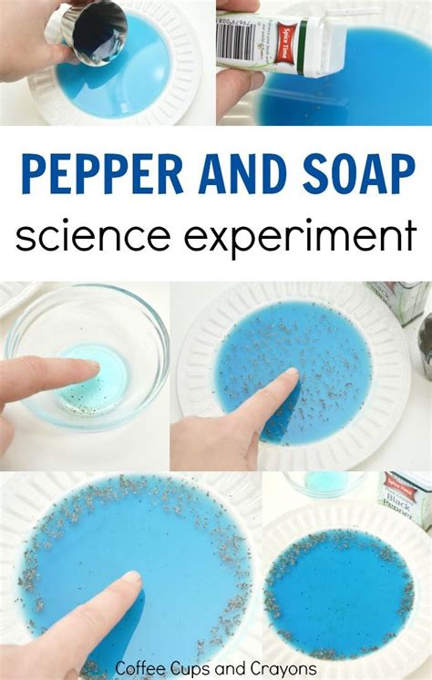 Magic Pepper and Soap Experiment | Science experiments for preschoolers ...