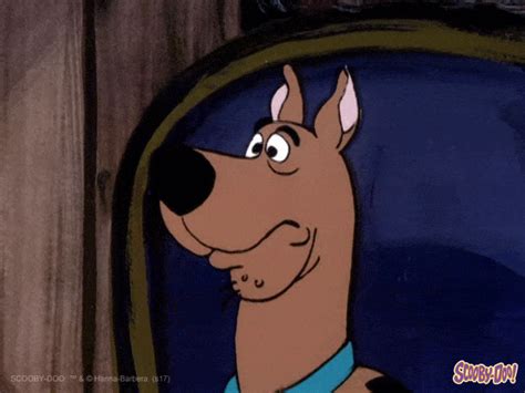 Scared Cartoon GIF by Scooby-Doo - Find & Share on GIPHY