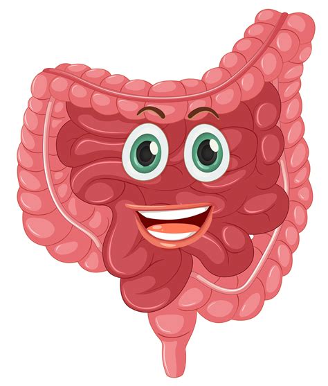 A happy healthy intestine 519690 Vector Art at Vecteezy