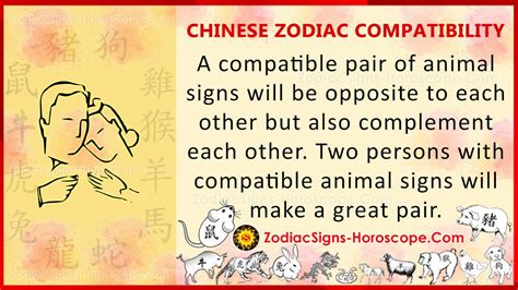 Chinese Zodiac Compatibility - ZodiacSigns-Horoscope.com | ZSH