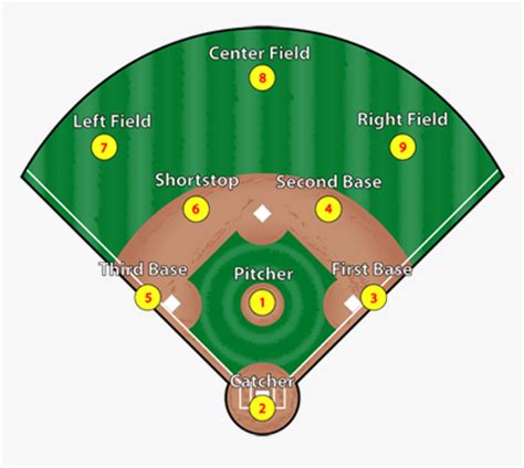 Baseball Positions, HD Png Download , Transparent Png Image - PNGitem