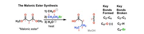 The Malonic Ester Synthesis – Master Organic Chemistry