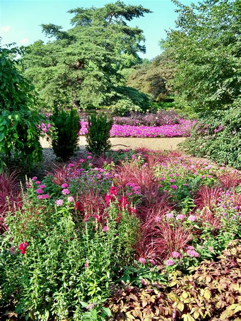 the garden is full of colorful flowers and trees in it's natural habitat area