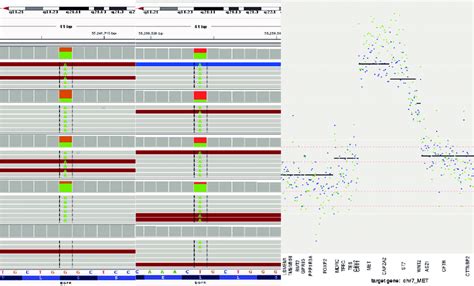 Tumor DNA sequencing at diagnosis and after progression. Sequencing ...