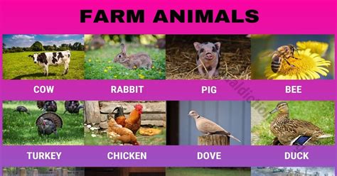 Farm Animals: Useful List of 20 Domestic Animals in English - Visual ...