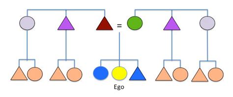 8.4: Kinship Terminology - Social Sci LibreTexts