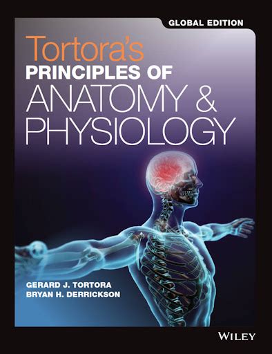 20 Best Anatomy Books For Medical Students (2023 Update) - Los Angeles ...