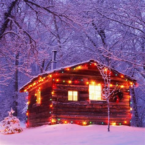 The 15 Best Outdoor Christmas Lights 2023: Shop Our Favorites Now