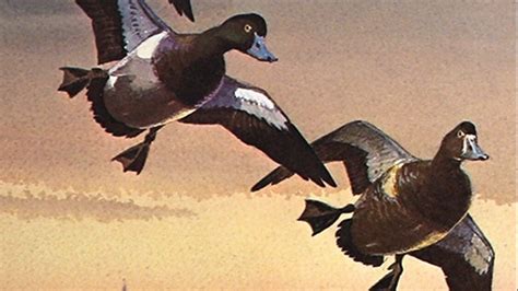 Petition · Extend the Waterfowl Hunting Season · Change.org