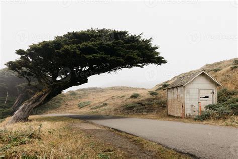 Point Reyes National Seashore 8962300 Stock Photo at Vecteezy