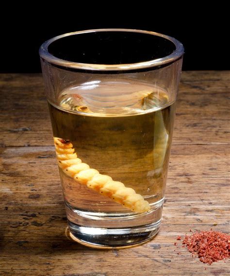 The Real Story Behind The Tequila Worm | Worm in tequila, Tequila, You and tequila