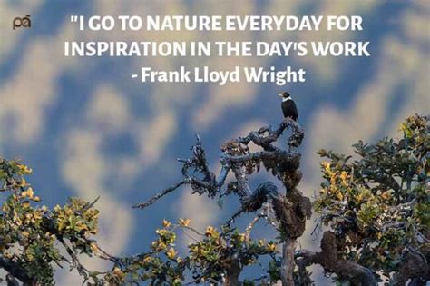 101 Best Nature Photography Quotes & Captions to Inspire You - PhotographyAxis