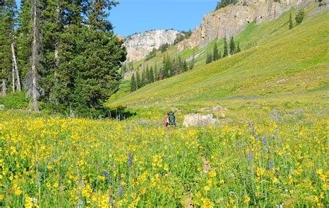 13 Top-Rated Hiking Trails in Grand Teton National Park, WY | PlanetWare