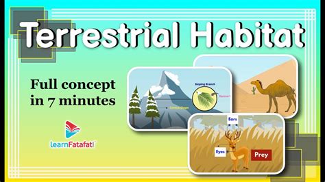 Terrestrial Ecosystem Animals