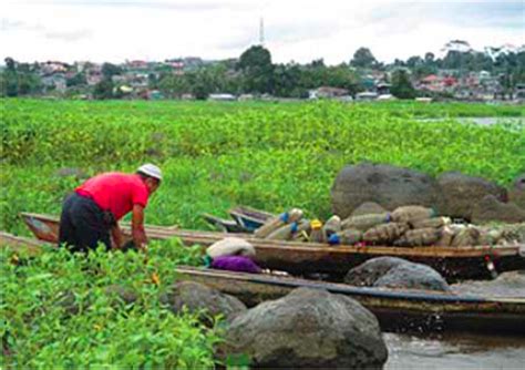 Saving Lake Lanao – Agriculture Monthly