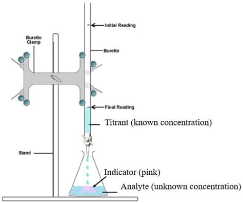 Back Titration Method - Dylan Peake