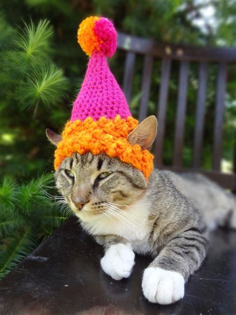 Pet Party Hat Pet Birthday Hat Party Hat for Cats Cat