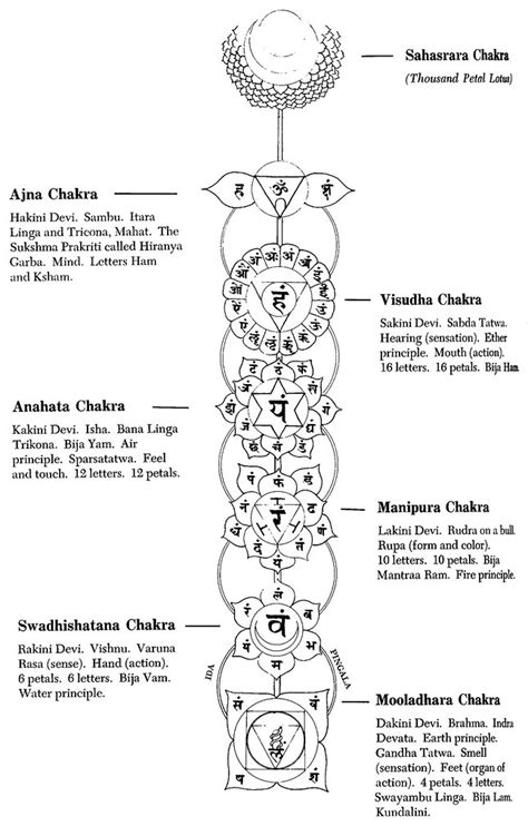 Chakras | From The Complete Illustrated Book of Yoga, by Swa… | Flickr