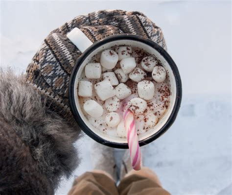 Celebrate National Hot Cocoa Day | SiteCrafting