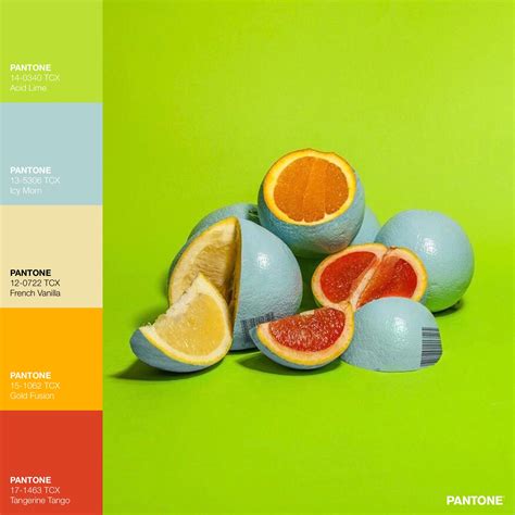 Citrus Fusion · Spring · Color Palette