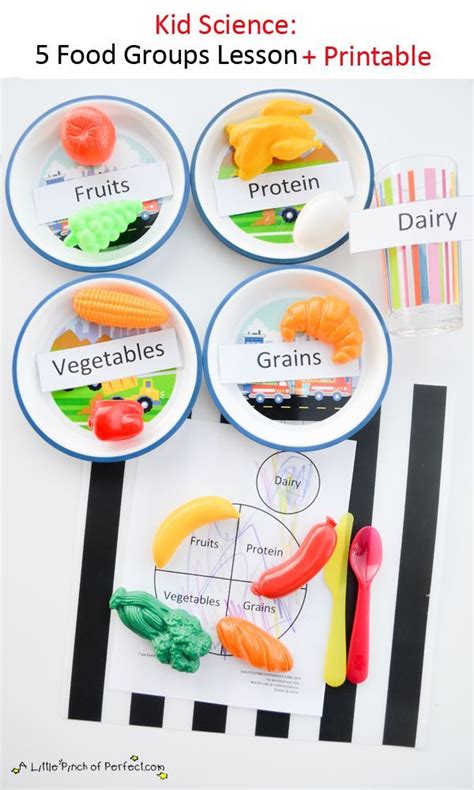 Science for Kids: Learning about the 5 Food Groups + Printable - | Kids nutrition, Nutrition ...