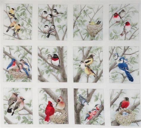 12 Block Fabric Panel Beautiful Bird Quilt Squares Chickadee Bluejay ...