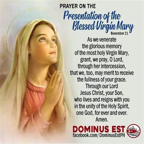 DominusEst.PH on Instagram: “Presentation of the Blessed Virgin Mary November 21 # ...