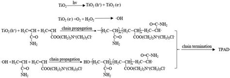 The copolymerization mechanism schematic. | Download Scientific Diagram