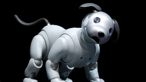 Robot Dog Wallpapers - Wallpaper Cave