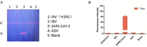 Specificity of the RT-RPA-combined ICA. (A) The RPA product of the ...