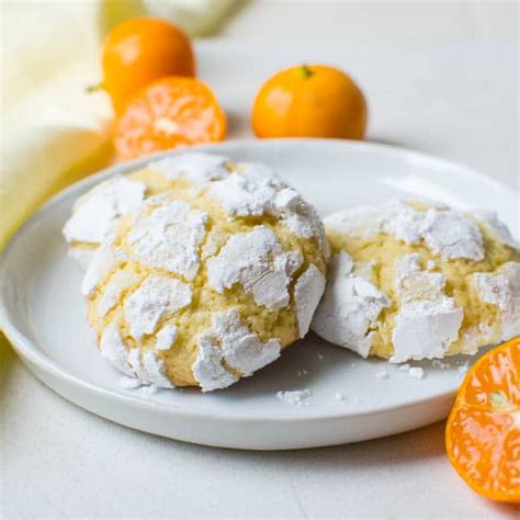 Citrus Calamondin Recipes | Bryont Blog