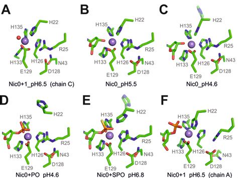 Figure 1 from Structural basis of a histidine-DNA nicking/joining mechanism for gene transfer ...