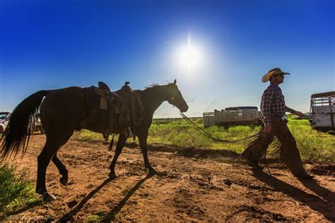 Cowboys of the Waggoner Ranch - Cowboys of Waggoner Ranch | Western ...