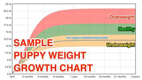 57 Top Images Puppy Weight Calculator / Puppy Weight Chart This Is How Big Your Dog Will Be Dog ...