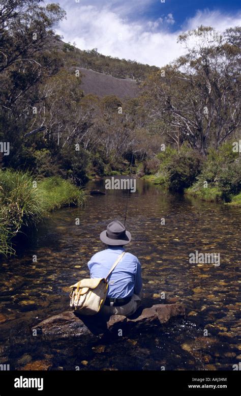 Fly fishing, Cobungra River, , NEVictoria, Australia Stock Photo - Alamy