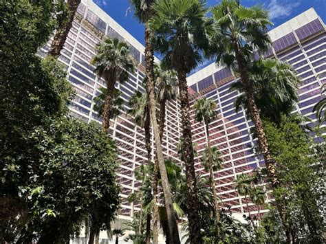 Flamingo Las Vegas Wildlife Habitat - The Good & The Stinky