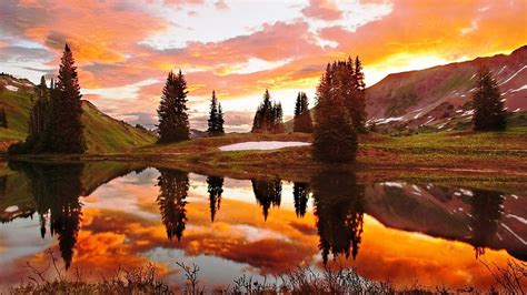 Beautiful reflection of golden sunset, pond, sunset, reflection, trees ...