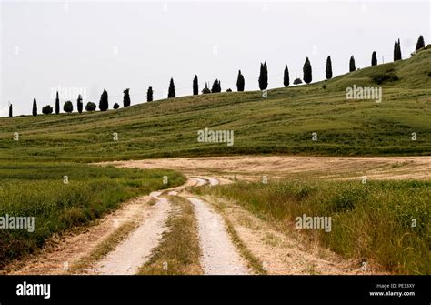 Crete senesi landscape,Tuscany,Italy,2018 Stock Photo - Alamy