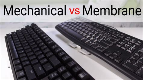 Mechanical vs Membrane Keyboards: Are Mechanical Keyboards Worth It ...