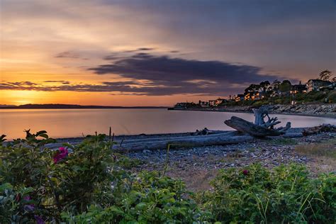 Shoreline, Washington City Guide | Greater Seattle Area