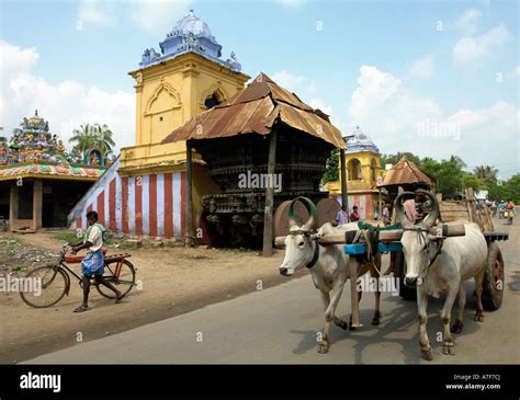 South indian village hi-res stock photography and images - Alamy