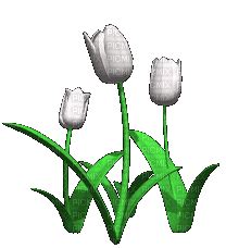 flores gif-l - GIF animado gratis - PicMix