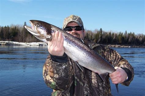 2024 (Miramichi) Guided fishing trips provided by RPF Outfitters