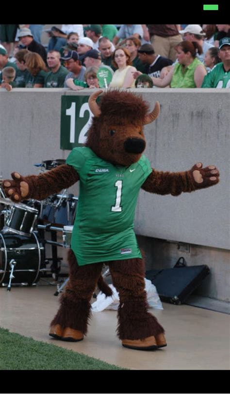 Marshall University's mascot, Marco, of Huntington, Wvhttp://media.photobuck… | Marshall ...