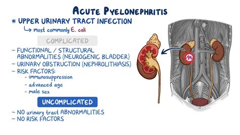 Pyelonephritis: Clinical sciences - Osmosis Video Library