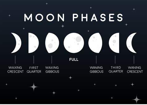 First Quarter Moon Phase Spiritual Meaning - lusomentepalavras