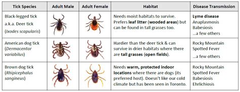 Tick Chart For Kids