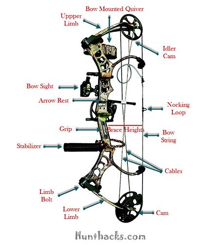 How to Choose a Compound Bow & Buying Guide