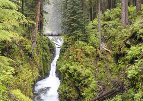 Olympic National Park in Washington, best and least crowded trails and hikes